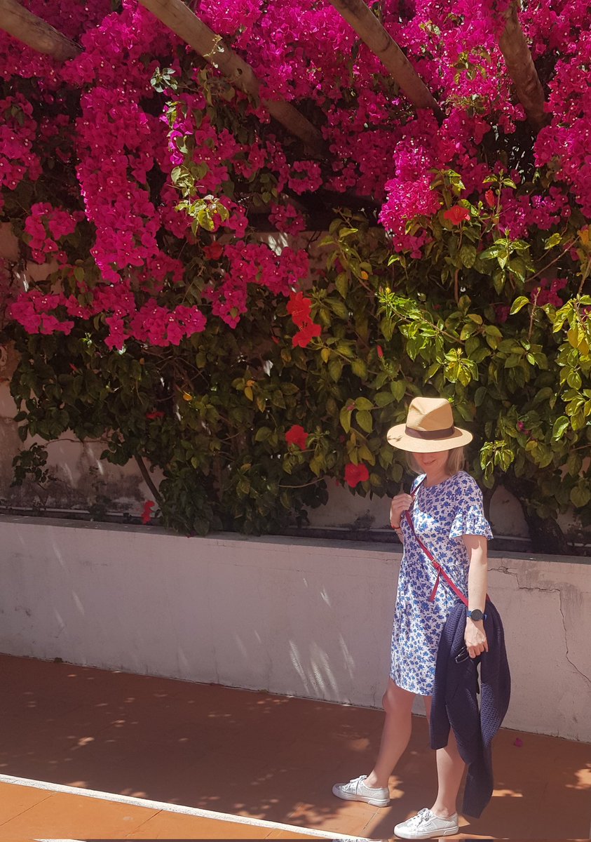lesaylmer's tweet photo. In Lisbon today 🌸 https://t.co/tFrNYE5Vrt
