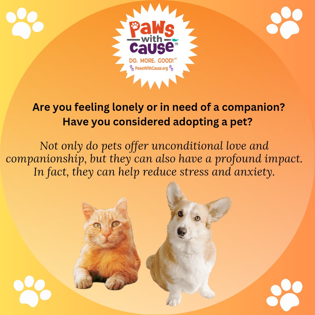 PawswithCause tweet media