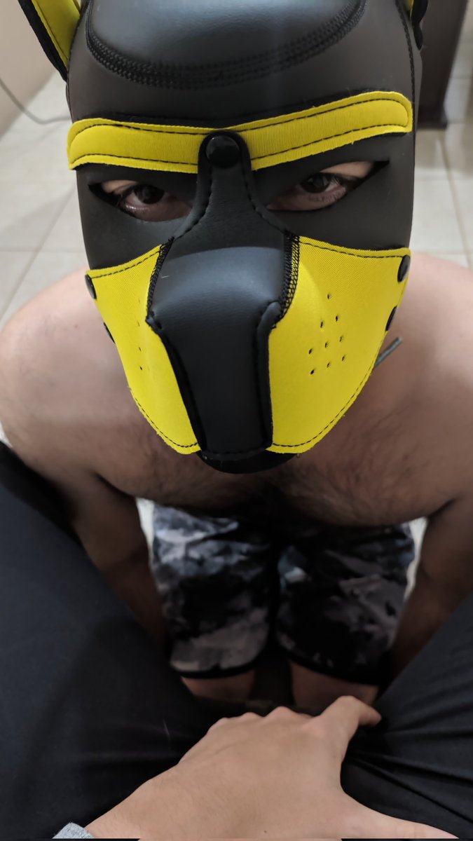 Master's diary (@pupmastersdiary) / Posts / X