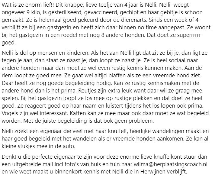 DeRavissante's tweet photo. Lieve, lieve, lieve, lieve Nelli zoekt dito eigenaar. 

RT = ❤️❤️❤️ https://t.co/bCIPht8dXm