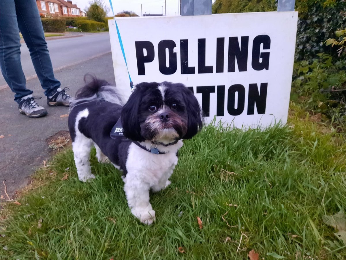 #dogsatpollingstations Pablo says vote fore more walks, more treats and to #StopTheTories. #LocalElection2023