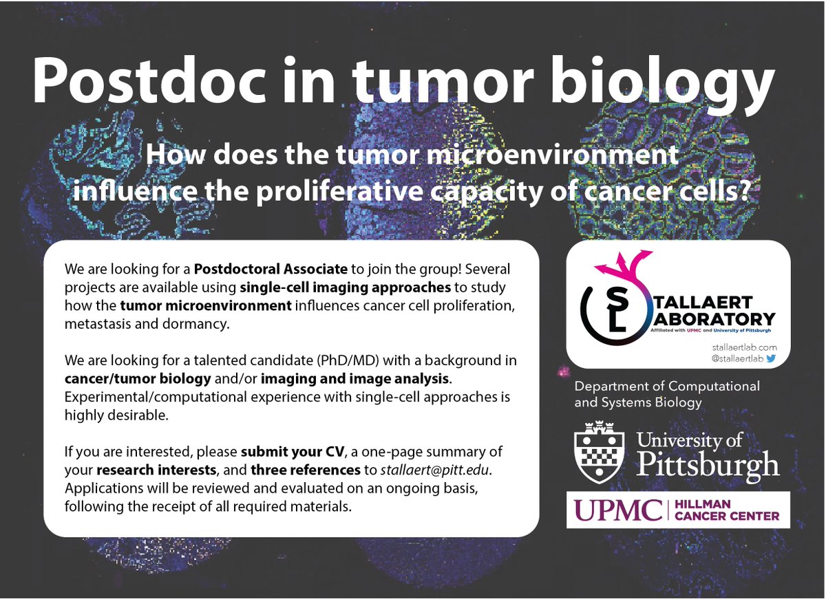 stallaertlab's tweet photo. The Stallaert Lab is looking for #postdocs! If you are interested in how the spatial organization of a tumor influences its proliferative capacity, please reach out!  See ad below or apply here: https://t.co/zqymJaZ966 @UPMCHillmanCC @compbiopitt https://t.co/bivLB90OVK