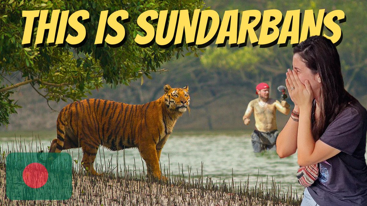 dodoexplorers's tweet image. Surviving 72h In A Tiger Forest In Bangladesh 🇧🇩 Watch here ⏭️
youtu.be/BUzXzPHcCic

#youtube #sundarbans #tiger #bangladesh