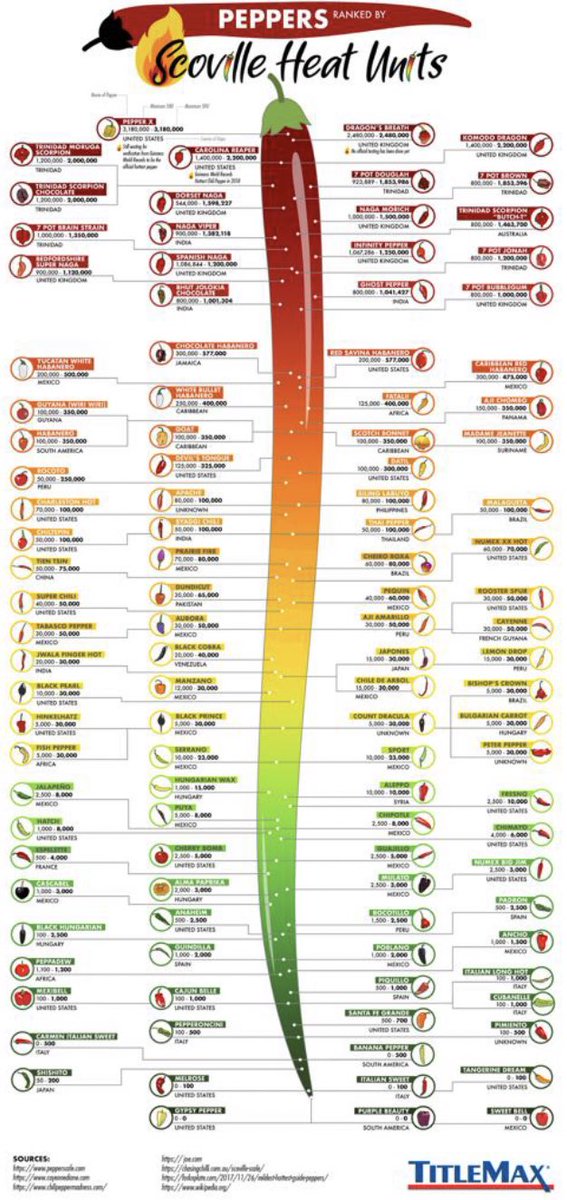 Hammer11Run's tweet photo. Just went a bit over generous on the ghost chilli not realising just how Damn hot it was!! looking at the stats it’s right up there in the red 😂🌶 👅😳 😅 this stuff is good! #ghostchilli #tonguebuster #catfordfire 🔥 https://t.co/cpj47iew0b