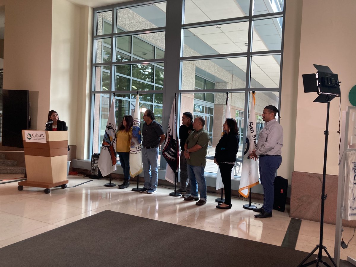 Meredith Williams tweet media