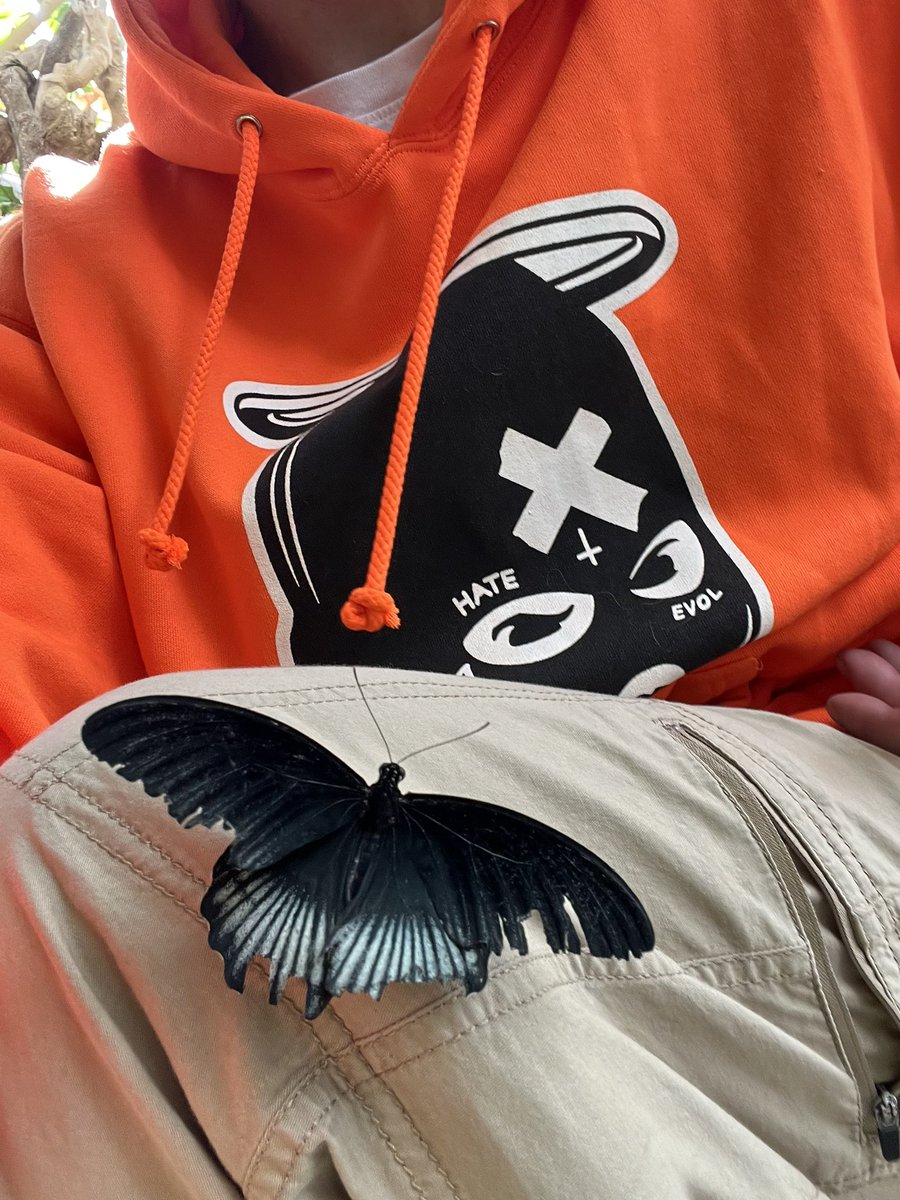 Studley303's tweet photo. @GEVOLsNFT #GANG4LIFE https://t.co/fDxOXLUdb3