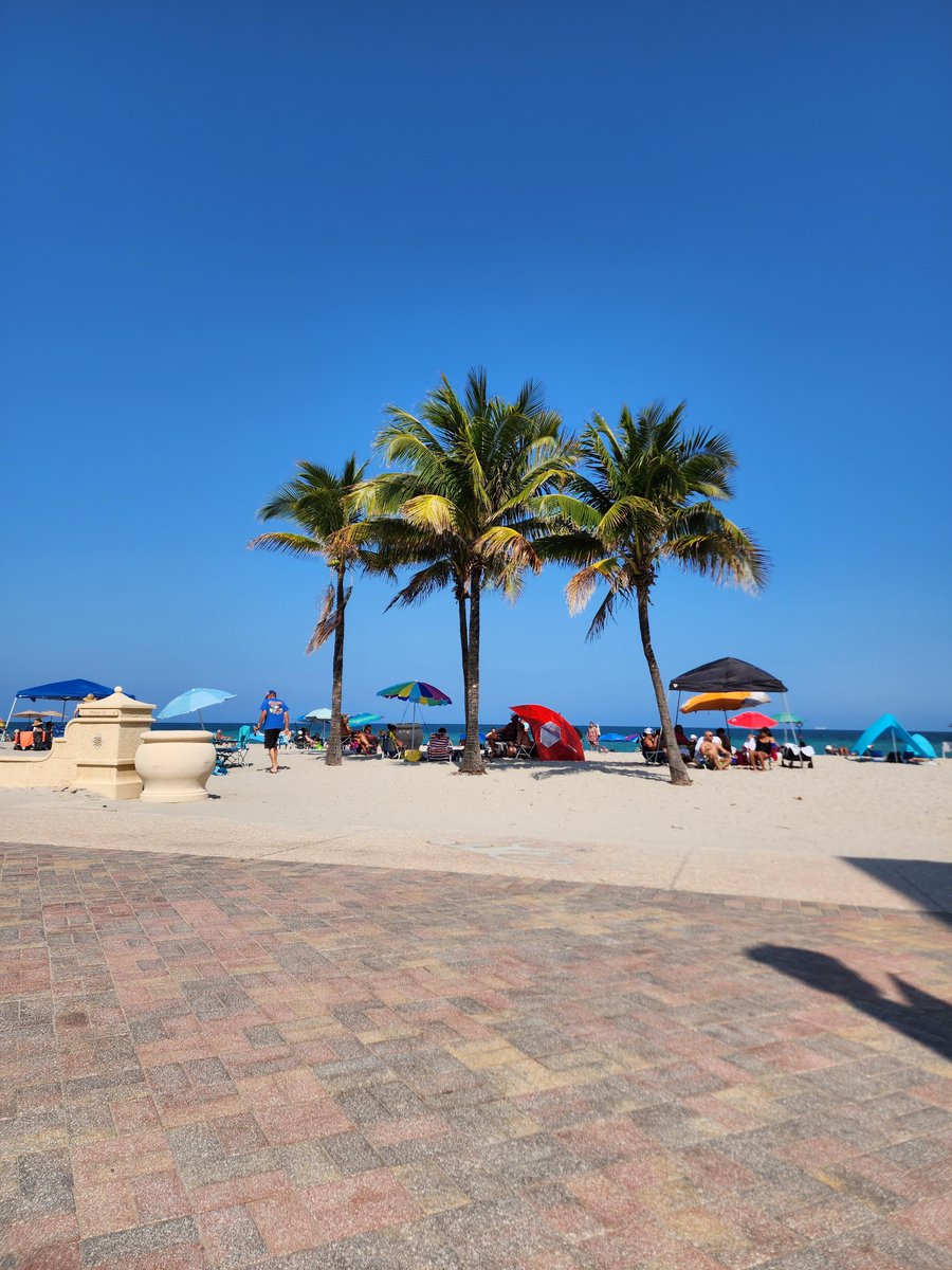 Hollywood FL tweet media