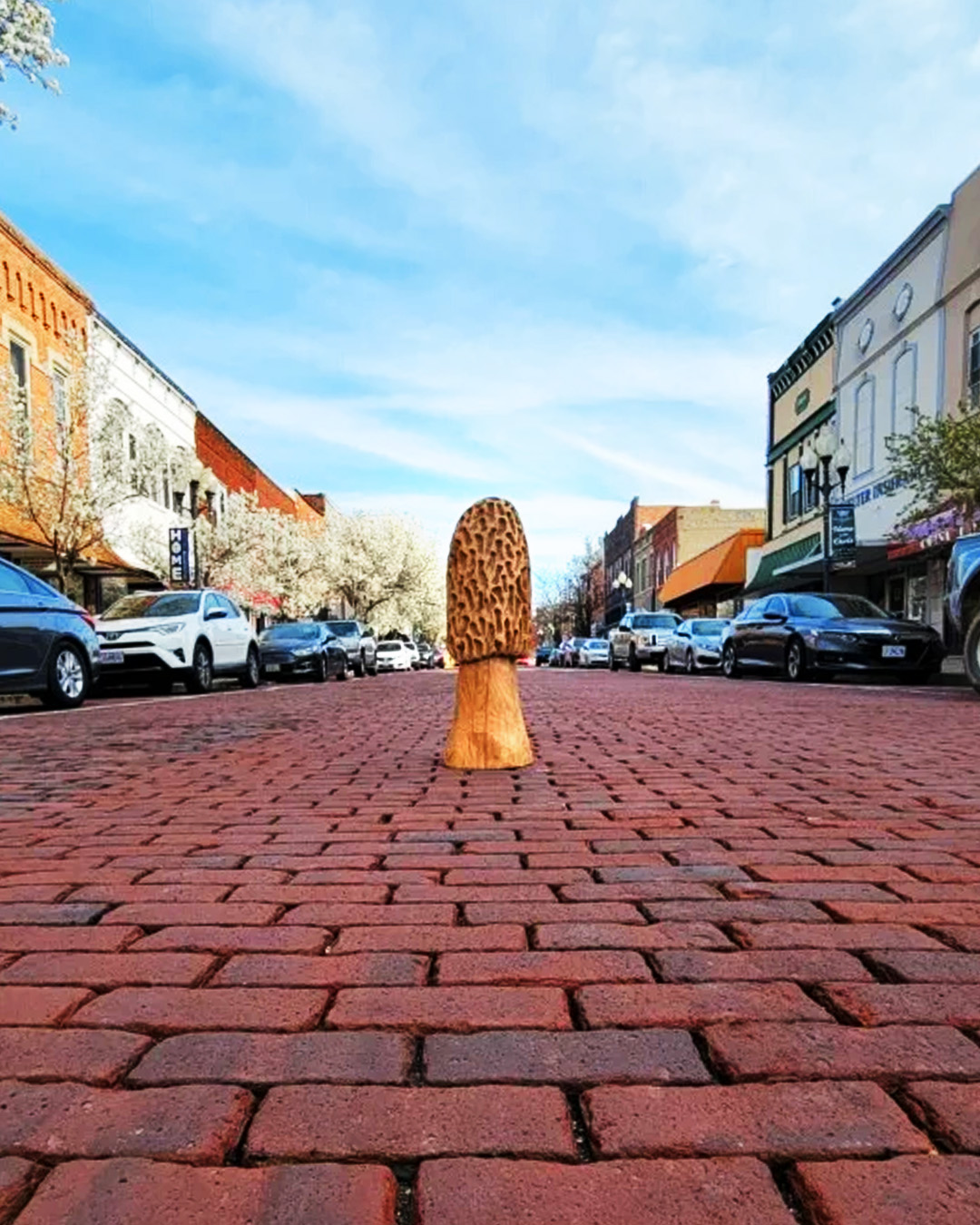 Visit Missouri on Twitter "Get ready for the famous Morels