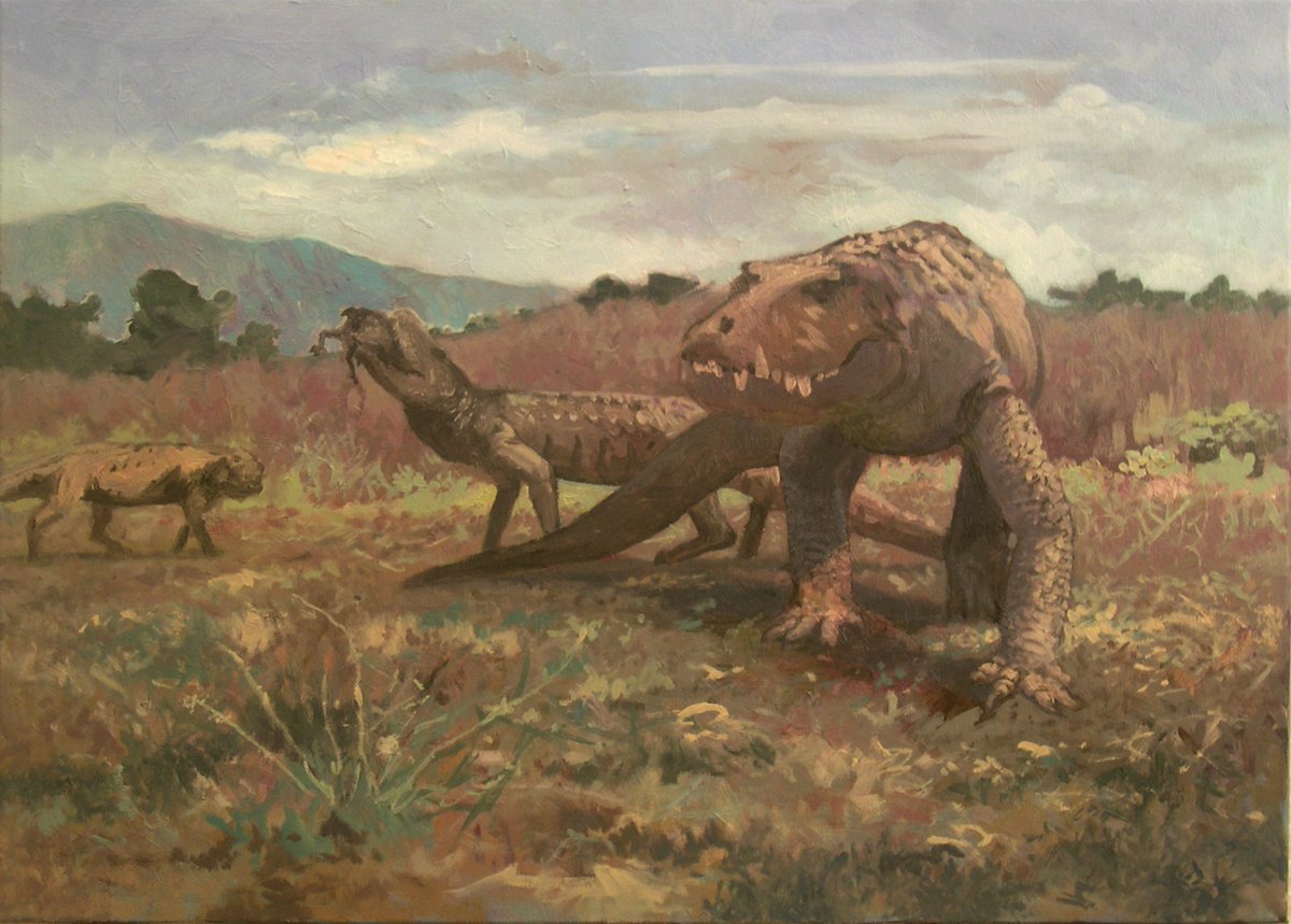 Barinasuchus