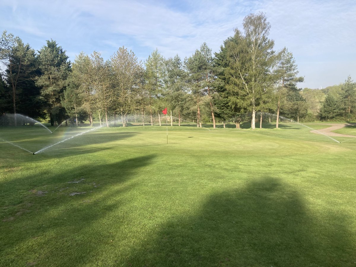 Stephen Curtis tweet media