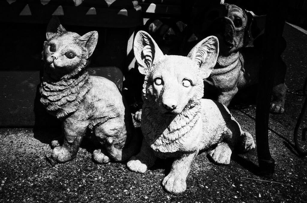 hattoriatsuhiro's tweet photo. #日常 #日々 #ストリートスナップ #dailypic #dailyphoto #dailysnap #oneday #snapshot #streetphotography #streetsnap 
 https://t.co/ZPcy4S77fe  May 05, 2023 at 12:04AM https://t.co/32qfXlHiYd