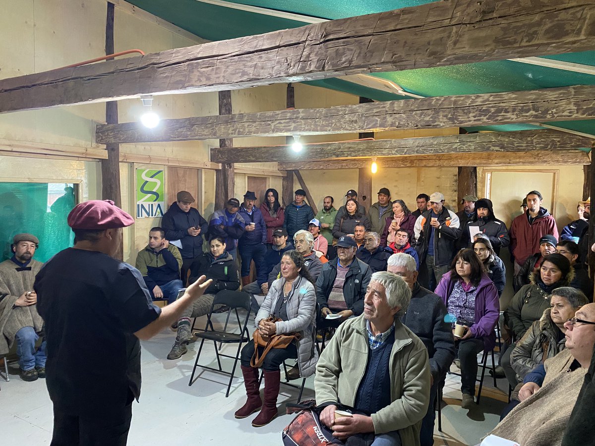 Está pasando; taller y día de campo en #IniaButalcura #Chiloé en torno a temas de reproducción ovina 🐑 , genetica 🧬 e inseminación, con la compañía del especialista Marcelo Quezada de #IniaHidango de <a href="/INIARayentue/">INIA Rayentué</a>. <a href="/MinagriLosLagos/">Minagri Los Lagos</a> <a href="/inia_remehue/">INIA Remehue</a> <a href="/IndapLosLagos/">Indap Los Lagos</a> <a href="/iniachile/">INIA Chile</a>