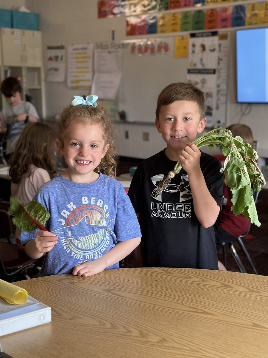 Miss_Polder's tweet photo. Today we harvested our garden and got to try the vegetables we grew! 🥕🥬 https://t.co/Fh4aivjtji