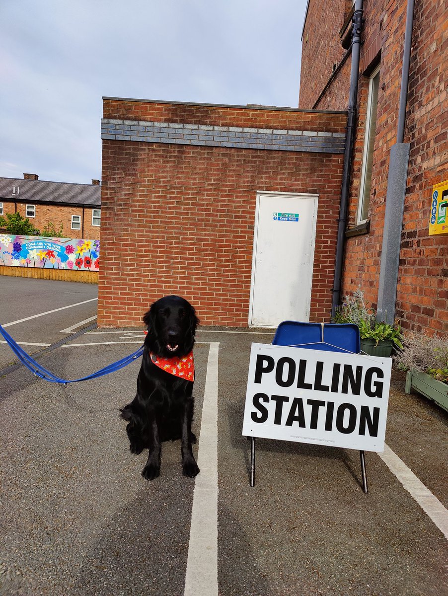 gin_and_lit's tweet photo. #dogsatpollingstations #festeratpollingstations https://t.co/OFCcF62hMH
