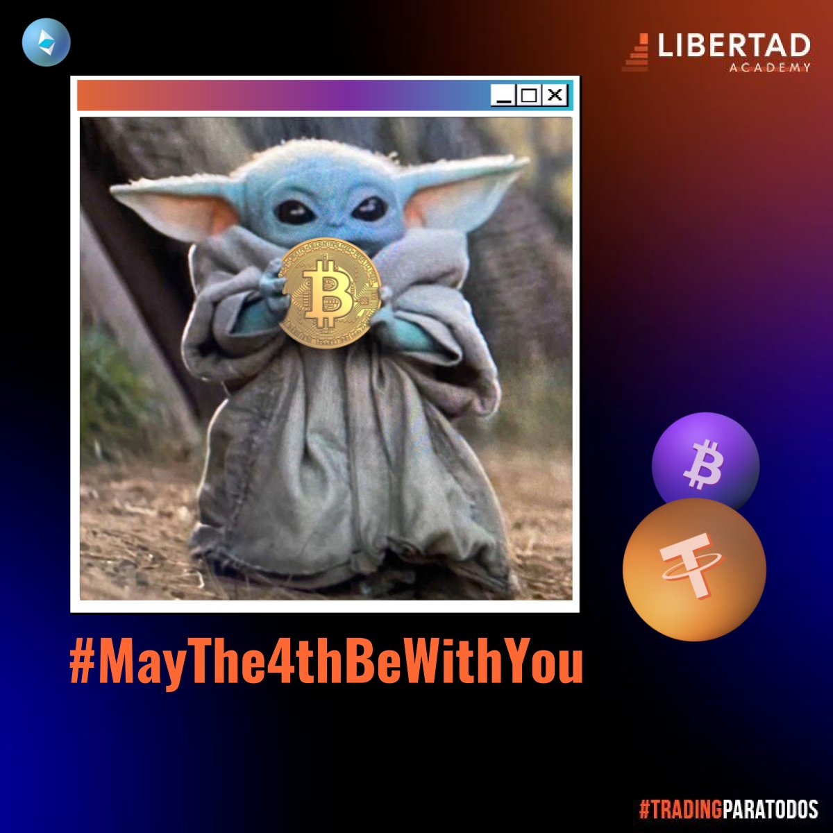 libertad_acad's tweet photo. 🚀 May the profit be with you 🚀

#MayThe4thBeWithYou https://t.co/K3EtBjjGeG