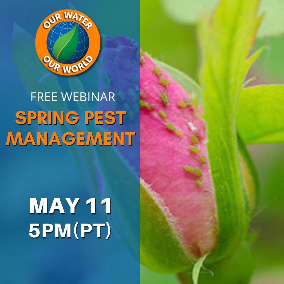 🪲This spring, learn how to prevent or manage common pests like aphids, snails, earwigs, leaf chewers, and gophers without using harmful pesticides! 

To learn more 🌱 register for the FREE webinar on May 11, 2023 at 5PM. us02web.zoom.us/webinar/regist…