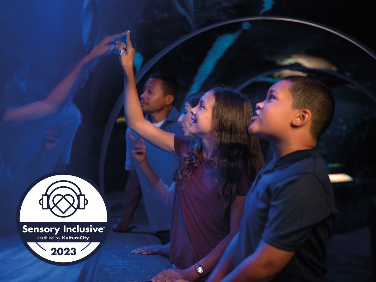 SEA LIFE at Mall of America tweet media