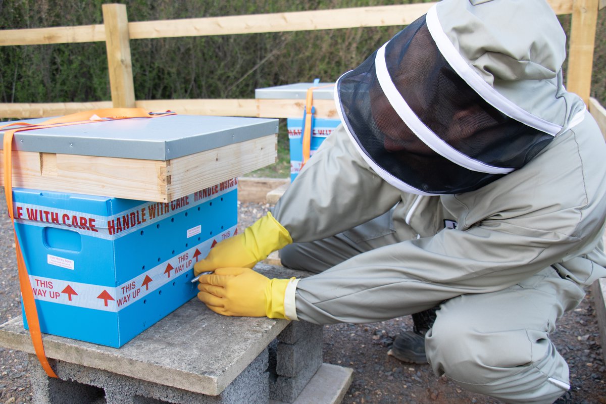 Today we welcomed our first bees into the new College apiary. A huge thanks to Yvonne and Will for all their hard work getting this project underway. The Bradfield bees are already busy carrying pollen as they settle in. Lots more to come from this exciting project.