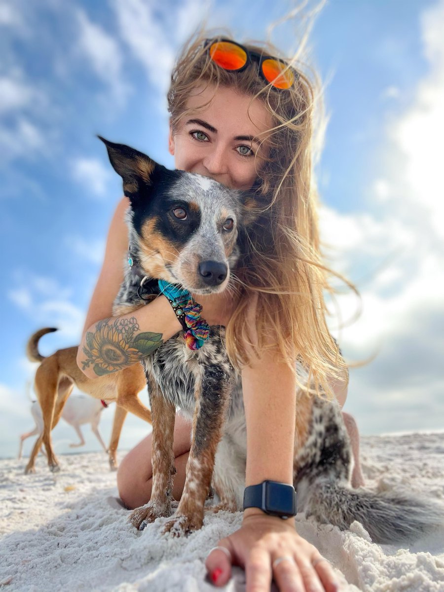 Extreme Dogs Stunt Dog Show tweet media