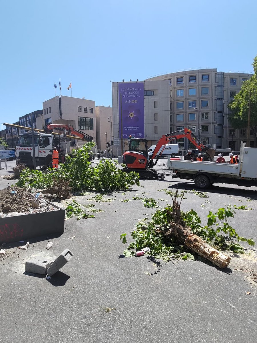 FeliziaJean's tweet photo. Un million d'arbres moins quelques-uns...Une cop ou une coupe d'avance ?@MartineVassal  et @RenaudMuselier  vous validez ? Photos truquées, c'est pas joli ! https://t.co/2qn6Cxsobm