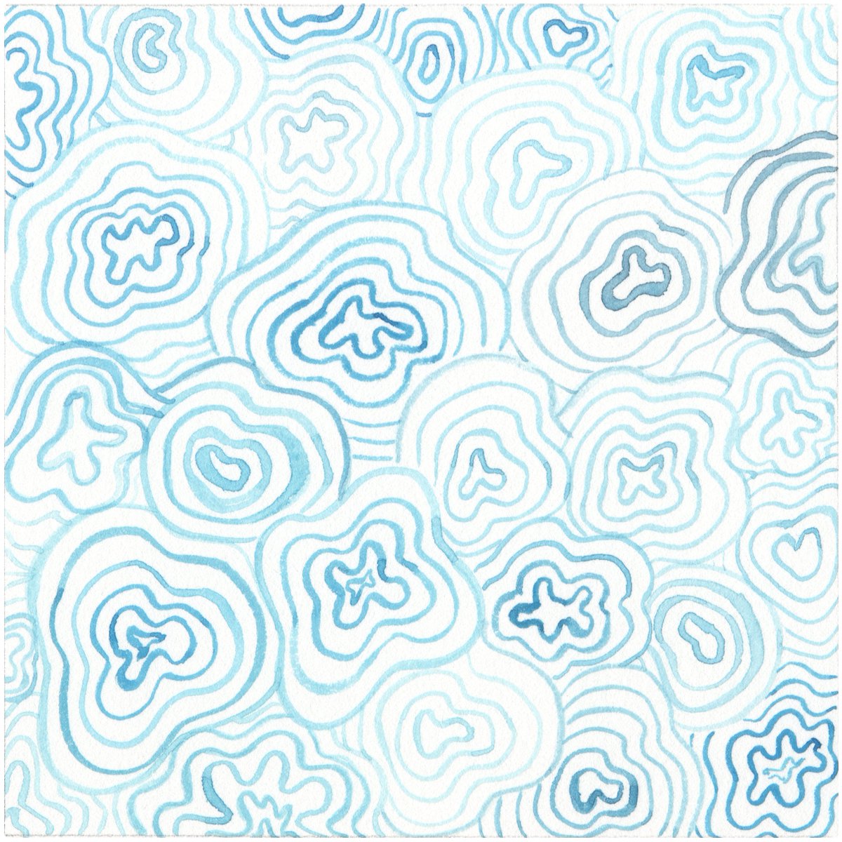 sylvo.eth 🥬✨ tweet media