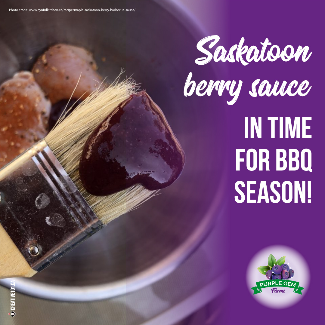 Found a yummy Saskatoon Maple BBQ sauce at cynfulkitchen.ca/recipe/maple-s… 

Why not give it a try for your BBQing this weekend? 👍🥰

#SaskatoonBerries #BerriesAlberta #LeducBusiness #BerriesForRestaurants #BerriesForBakeries #BerriesRetail #BerryJuice #NaturesLittleGem