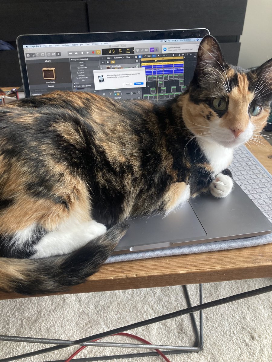 Was this necessary? No. Remorse? Also no.