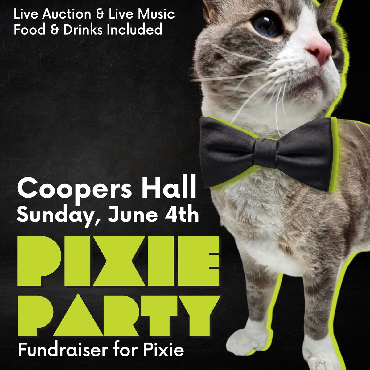 thepixieproject tweet media