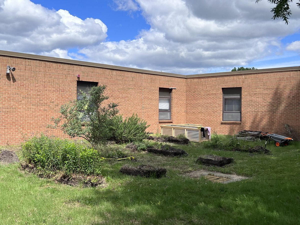 janeharvey05's tweet photo. Garden revamp has begun @RosemontEagles! Our fabulous PTA is spearheading this amazing transformation! #vbits @LeslieElfelt @MrsBCGreen @RosemontPTA https://t.co/W493CpwCOs