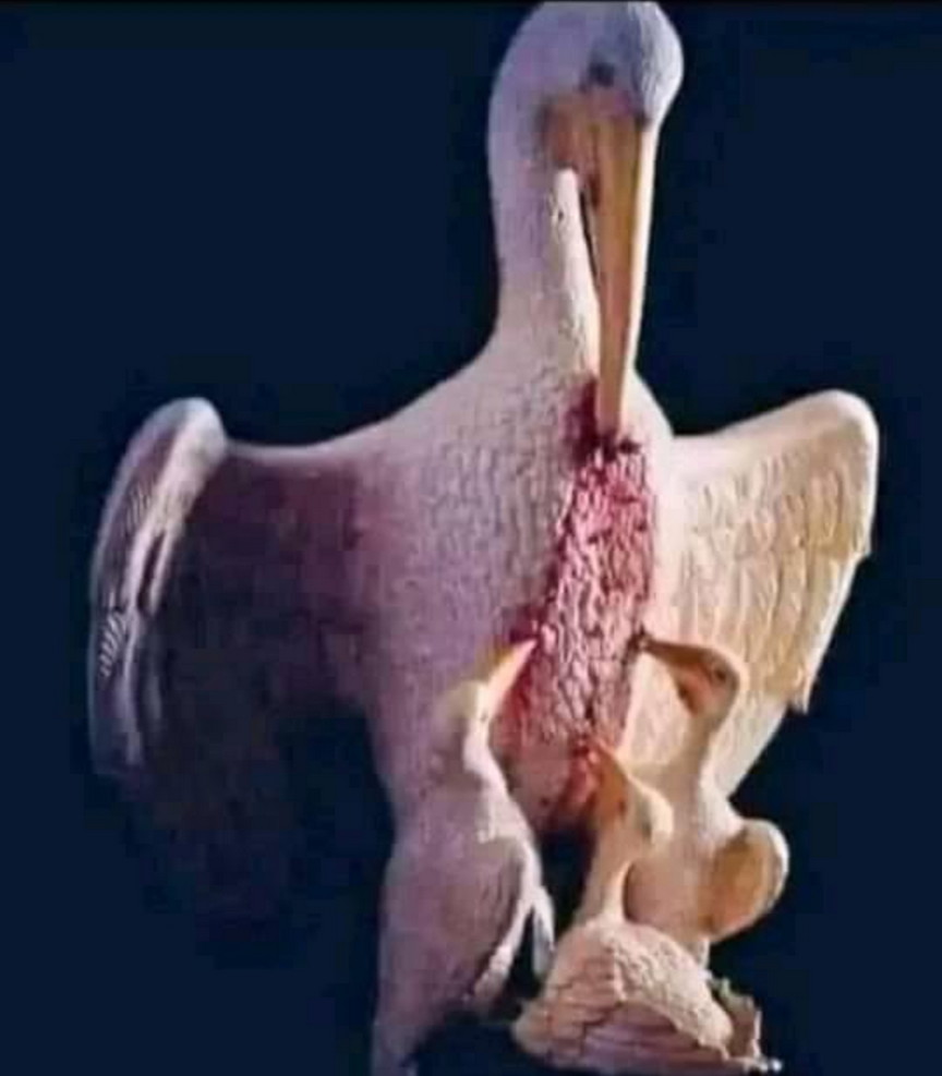 MdBabul1974's tweet photo. ▪️"""......... ....... "মা"""" কাকে বলে!!?? ▪️..........

এই পাখিটার নাম "পেলিকান" যখন এদের চরম খাদ্য সংকট দেখা দেয় তখন "মা" পাখিটি নিজের বুক এভাবে ক্ষতবিক্ষত করে। আর সেই ক্ষতস্থান থেকে বের হওয়া রক্ত পান করে বাচ্চারা জীবন বাচায়।

পৃথিবীতে মায়ের তুলনা করার মতো কোনো বস্তু আবি https://t.co/1Jw57lnW9n