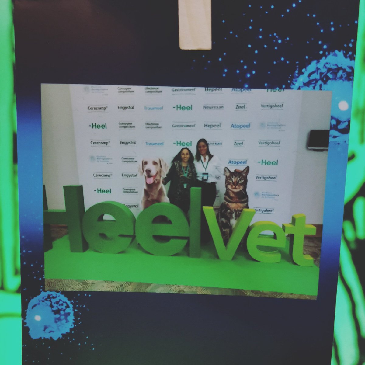 SituarePhoto's tweet photo. #visimposioheelvet https://t.co/q92IINFCdH