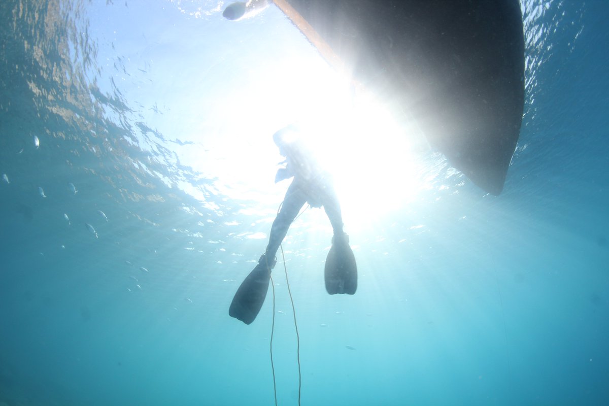 oceanreefgroup's tweet photo. Escaping reality one dive at a time 🌊🐠
#scuba #scubadiving #diving #ocean #escapereality #reef #oceanreef #ffm #travel #adventure #fullfacemask https://t.co/k4chAM7V0L