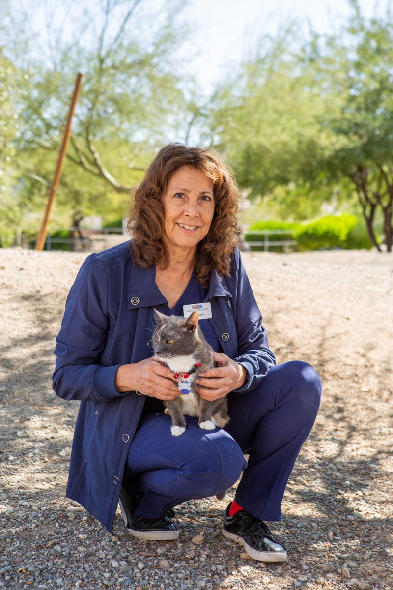 Today, SB1053 passed through the #AZLeg 🎉 This bill will allow veterinarians to utilize telemedicine, ensuring greater access to care for our pets. We encourage @GovernorHobbs to sign this bill so that our furry family members receive the medical care they need!