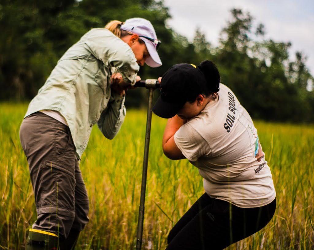 JenBennett_'s tweet photo. Very, very excited to share that my undergraduate research studying urban soil carbon stocks has been published! This project has meant everything to me over the years and I hope it can be helpful to others!

@UCF_Arboretum #soil #soilresearch #research #wetlands #soilcarbon https://t.co/MM61i9lITB