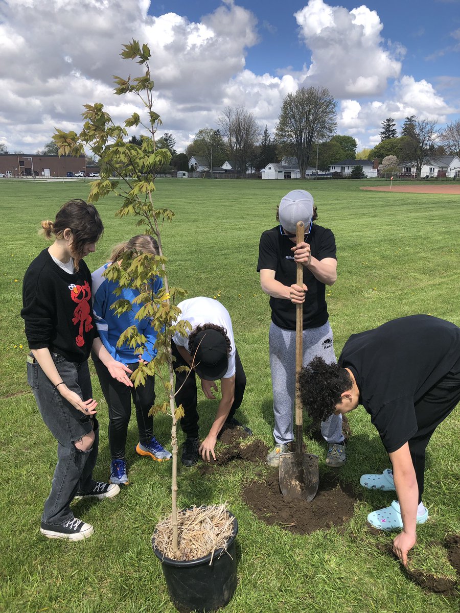 MrAveryLKGeo's tweet photo. Grade 9 tree planting today, adding to the LKCS Arboretum. https://t.co/opDYjdQjsJ
