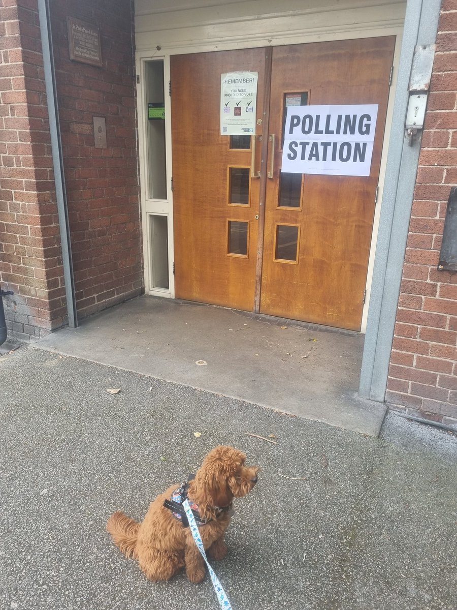 HelsDoyle's tweet photo. First time voting for Mabel #dogsatpollingstations https://t.co/QqeAaKfkpG
