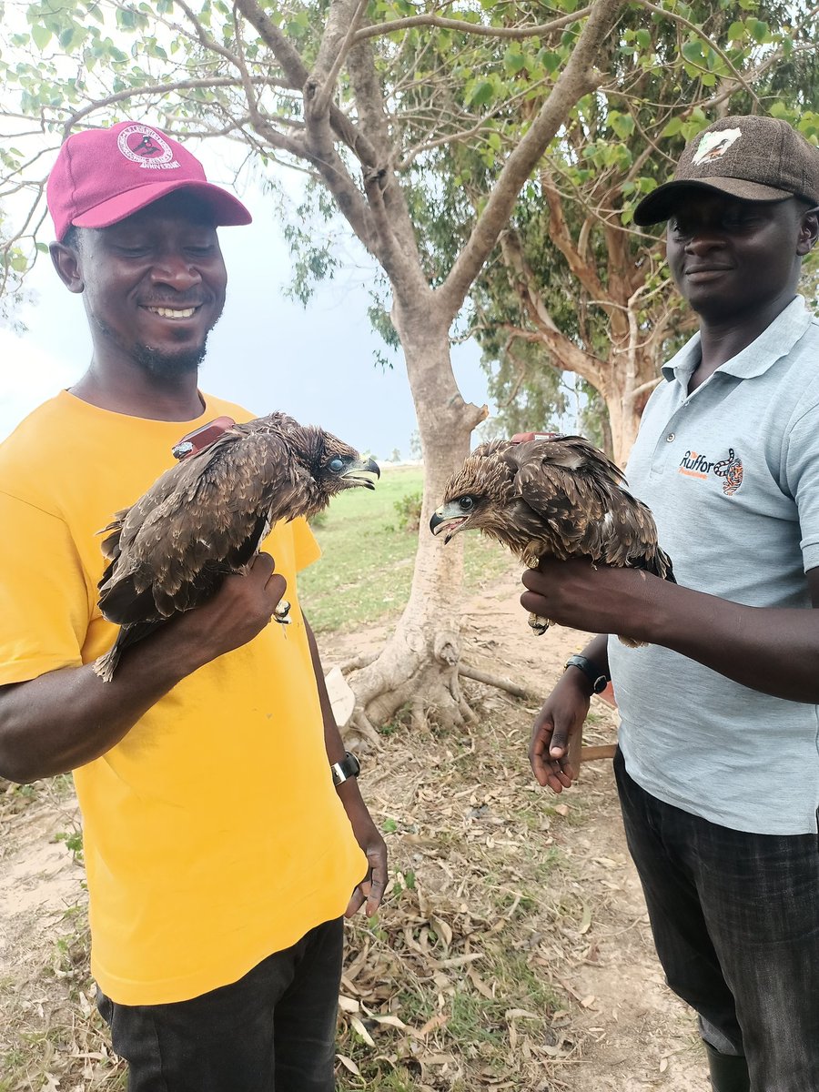 Talatu Tende tweet media