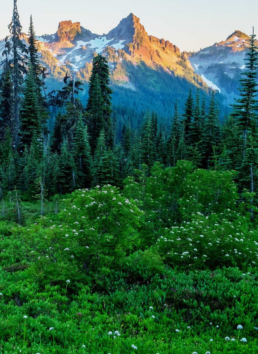 LoveSongs4Peace's tweet photo. Mount Rainier National Park in Washington state, USA
#spring #nature #mountains #NationalPark #photography https://t.co/LNWhcpMCg2