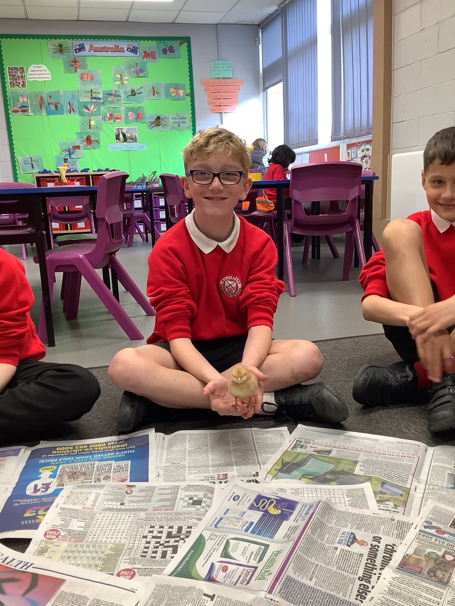 A lovely afternoon of meeting the chicks in school.
