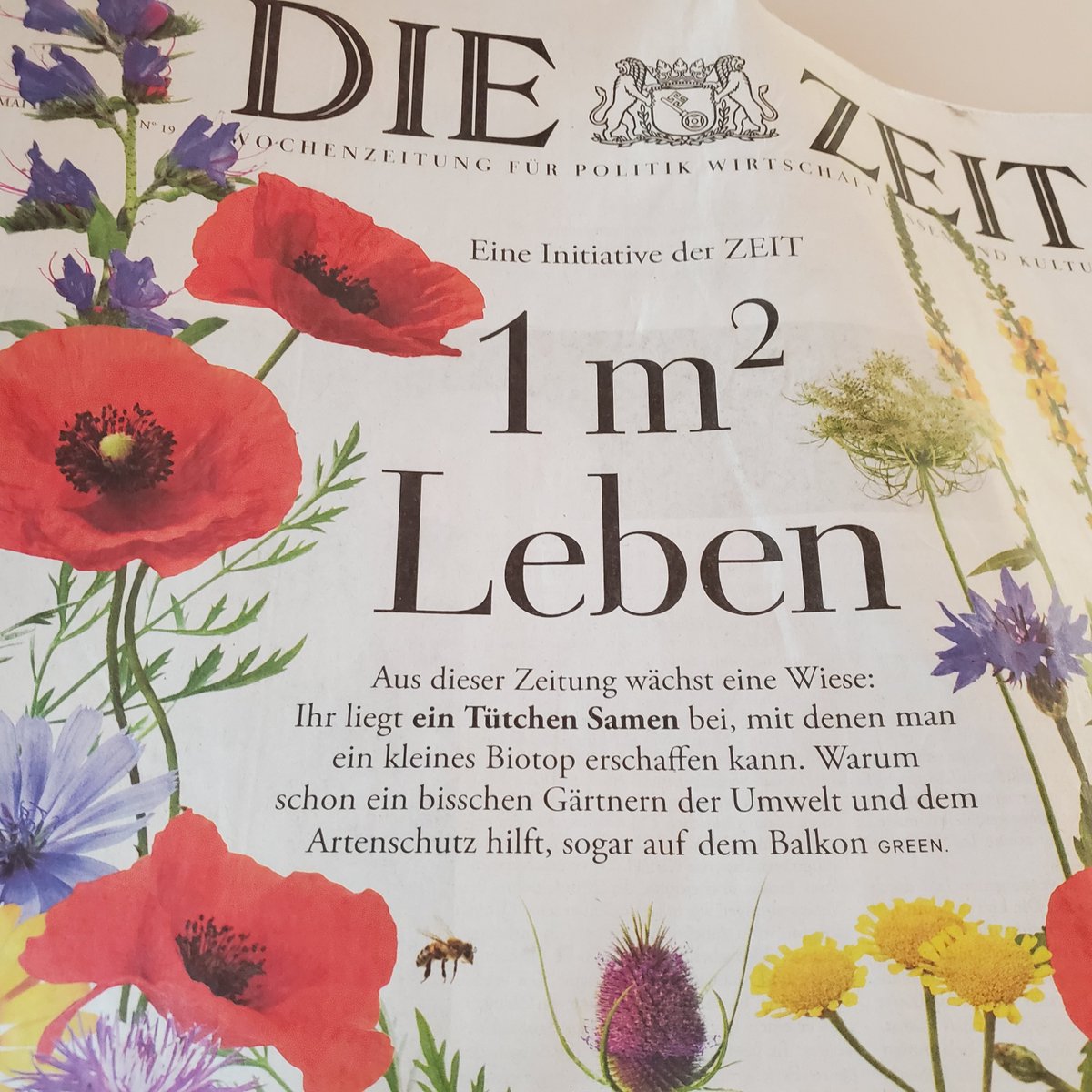 freue mich auf blühende Wiesen und Insekten <a href="/isoewikom/">ISOE</a>