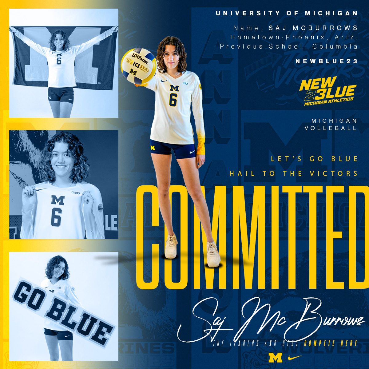 Michigan Volleyball tweet media