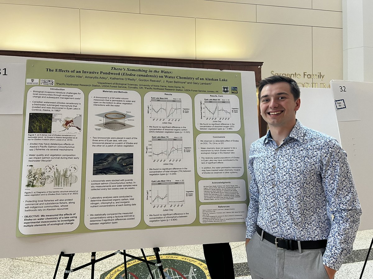 Amaryllis Adey tweet media