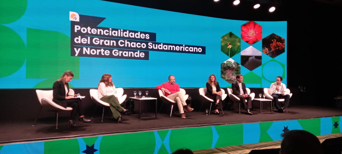 INTAProapi's tweet photo. #Noticias: Arrancó el Primer Encuentro Apícola Federal en Chaco Resistencia, desde #INTAProapi les compartimos algunas fotos de la mesa sobre la Potencialidades del Gran Chaco sudamericano y Norte Grande https://t.co/NyGE9l0VYQ