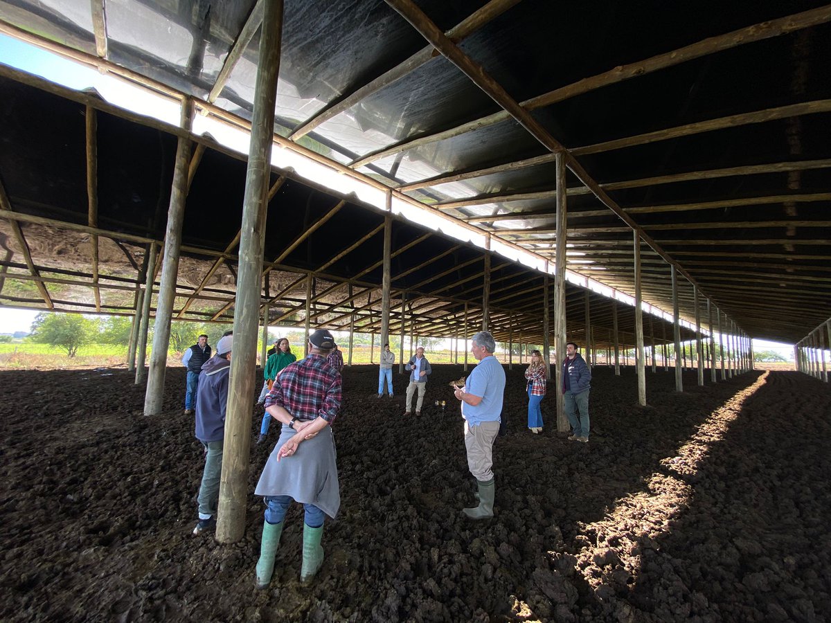 agrifirmuy's tweet photo. En Agrifirm seguímos con la recorrida semanal, visitando galpones con sistemas de cama caliente 👉atendiendo la planificación y manejo de los mismos. Hoy tocó Soriano y Canelones.
@MinuttiGero @frangolaw #camacaliente #lecheria https://t.co/6VmTIFZEdl