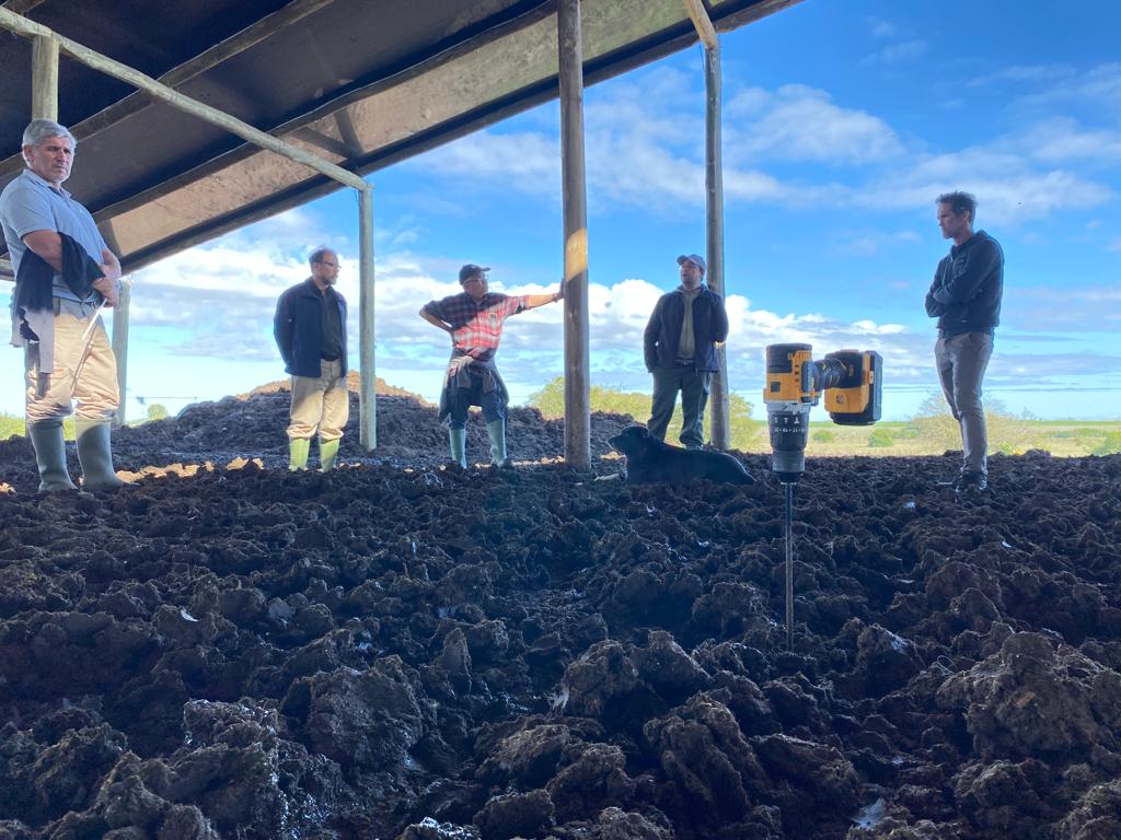 agrifirmuy's tweet photo. En Agrifirm seguímos con la recorrida semanal, visitando galpones con sistemas de cama caliente 👉atendiendo la planificación y manejo de los mismos. Hoy tocó Soriano y Canelones.
@MinuttiGero @frangolaw #camacaliente #lecheria https://t.co/6VmTIFZEdl