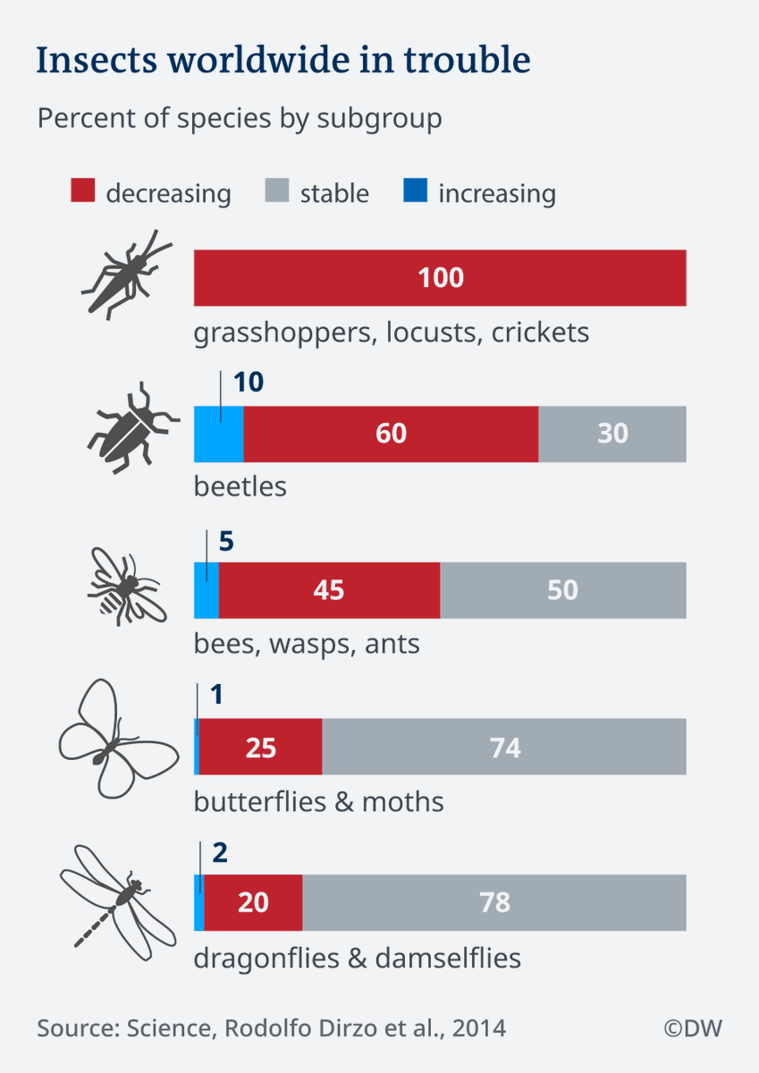 ECOWARRIORSS's tweet photo. We cannot survive without insects
yet humans are eradicating them 
Insects are pollinators of fruits, vegetables, and nuts,   natural pest control, preying on other insects that damage crops
They also serve as important food source for birds, fish reptiles.https://t.co/tyjPRWfb52 https://t.co/0KBzWnBM05