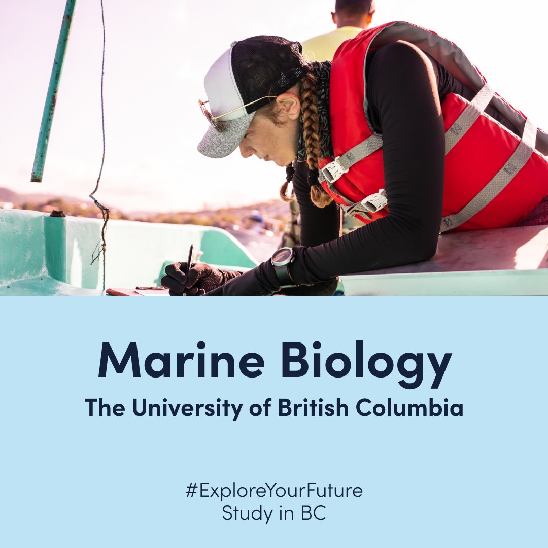 StudyinBC's tweet image. 🐠 Dive into the deep blue with UBC's Marine Biology program. Explore marine life, ecosystems, and the mysteries of the ocean. #MarineBiology #StudyInBC #ExploreYourFuture