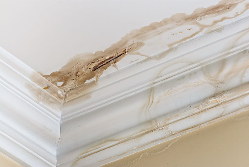 PreferredElite's tweet photo. Think you may have a leak in your house, coming from the roof? Post a 🤳📷photo of the wall where you see the leak and we'll advise you on next steps, right here⤵️! #Roofing #QualityContractor #FREEroofInspection https://t.co/2mtN038ZK6 https://t.co/uV97Xq91P1