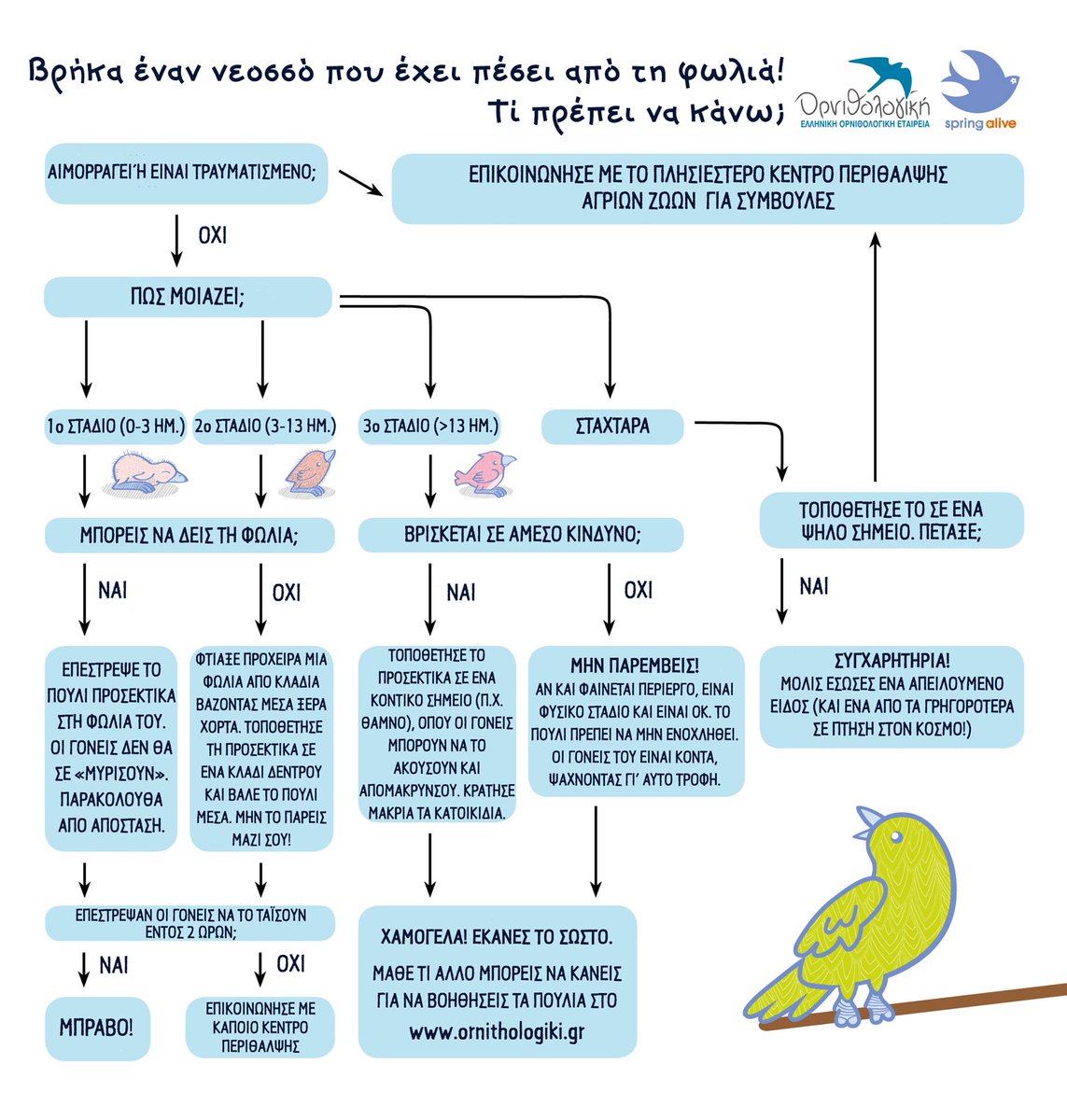 ornithologiki's tweet photo. 🐣 Αυτή την εποχή, οι φωλιές είναι γεμάτες φτερωτά πιτσιρίκια που κάνουν ήδη τα πρώτα τους "βήματα".
⚠️ Η προσπάθειά μας να βοηθήσουμε έναν νεοσσό που φαίνεται αβοήθητος, μπορεί τελικά να καταστεί γι' αυτόν επιζήμια. Μάθε τι πρέπει να κάνεις και σκέψου πριν πράξεις! #SpringAlive https://t.co/wJK4EvHqJa