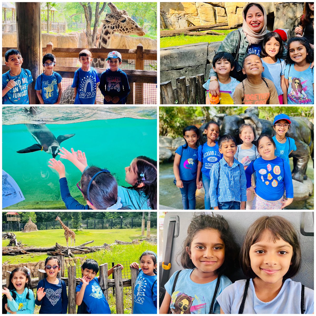 waggslittleones's tweet photo. Lions &amp; Tigers &amp; Bears, oh my 🦁🐯🐻! BK had the BEST Field Trip to the @DallasZoo this week! HUGE thank you to our Parent Chaperones for helping to make our day a SUCCESS! #RJLBK #RJLyear9 #RJLadventures https://t.co/bGjD1MNq8r